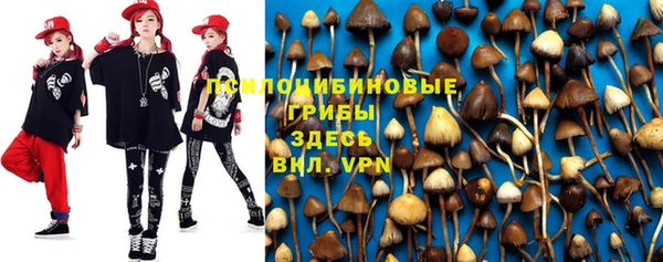 прущая мука Лагань
