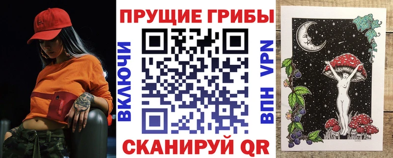 Купить где  Ардон  Галлюциногенные грибы Cubensis 